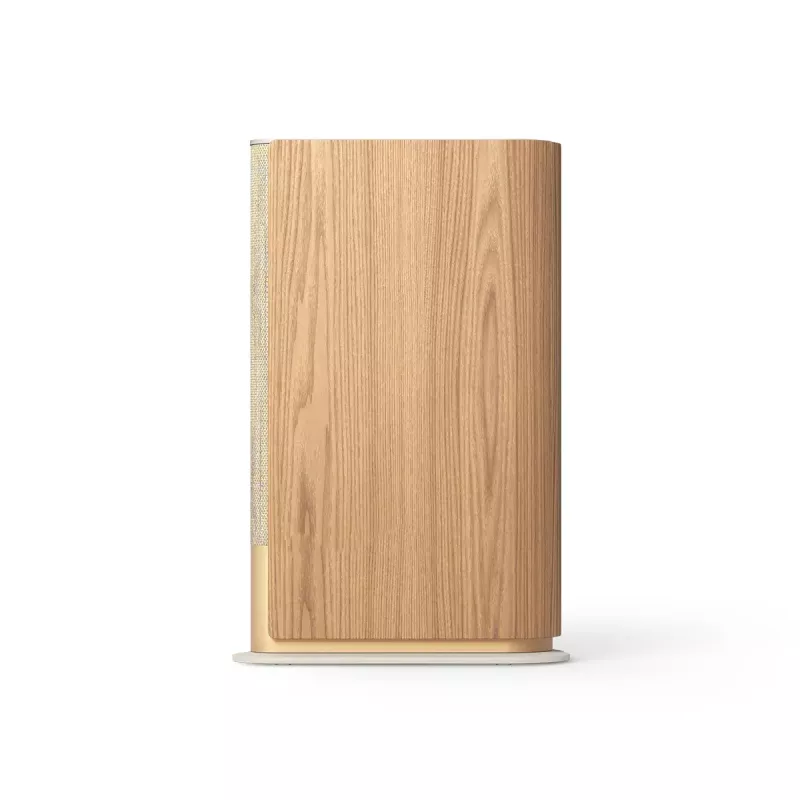 Draagbare luidspreker Bang & Olufsen Beosound Emerge bruin