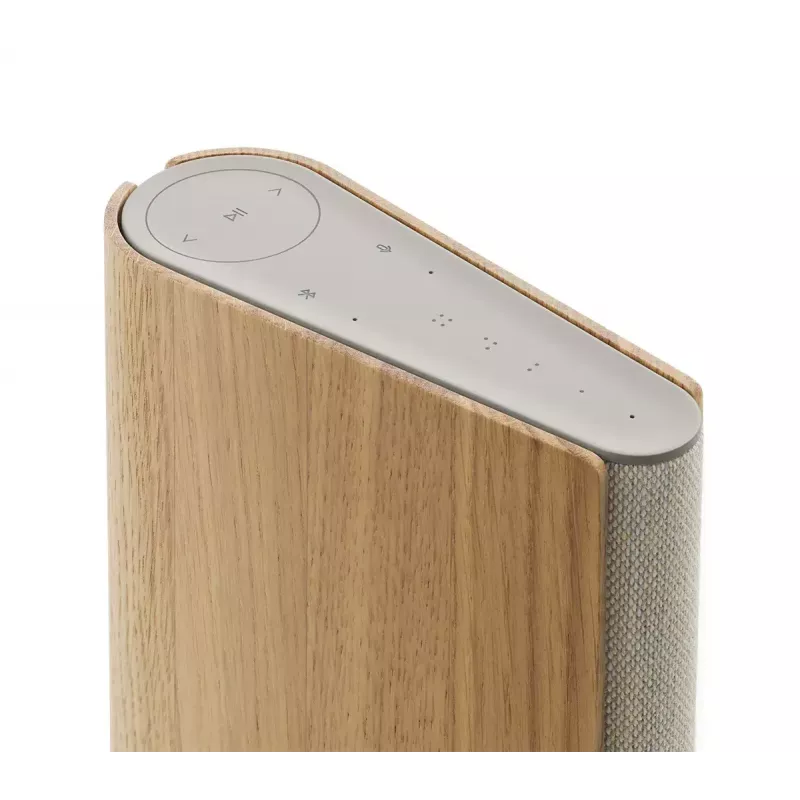 Draagbare luidspreker Bang & Olufsen Beosound Emerge bruin