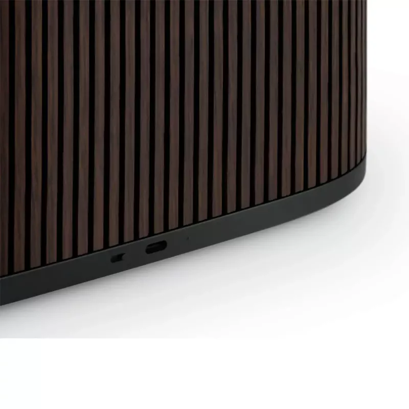 2.1 draagbaar luidsprekersysteem Bang & Olufsen BeoSound A5 bruin 101 dB