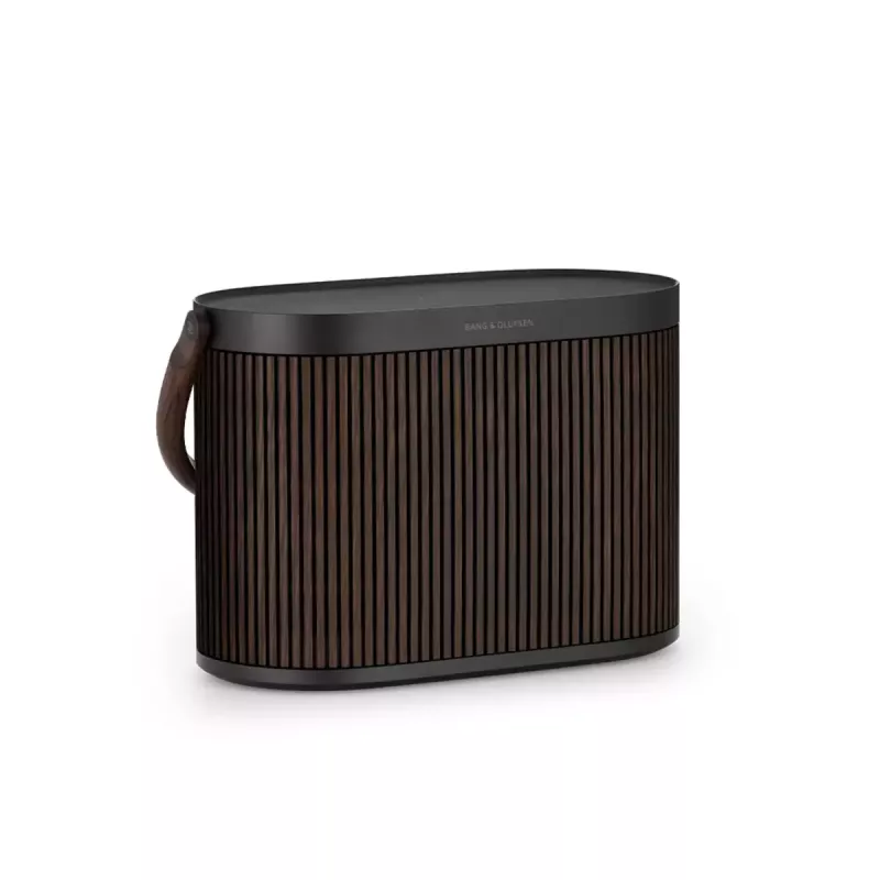 2.1 draagbaar luidsprekersysteem Bang & Olufsen BeoSound A5 bruin 101 dB