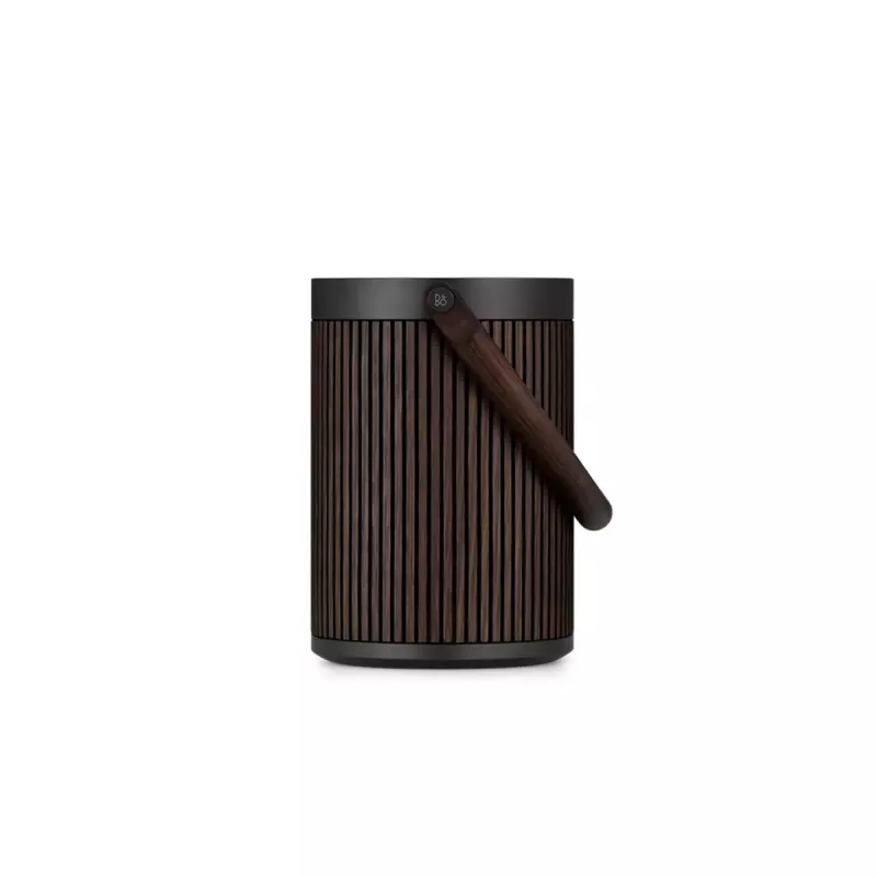 2.1 draagbaar luidsprekersysteem Bang & Olufsen BeoSound A5 bruin 101 dB