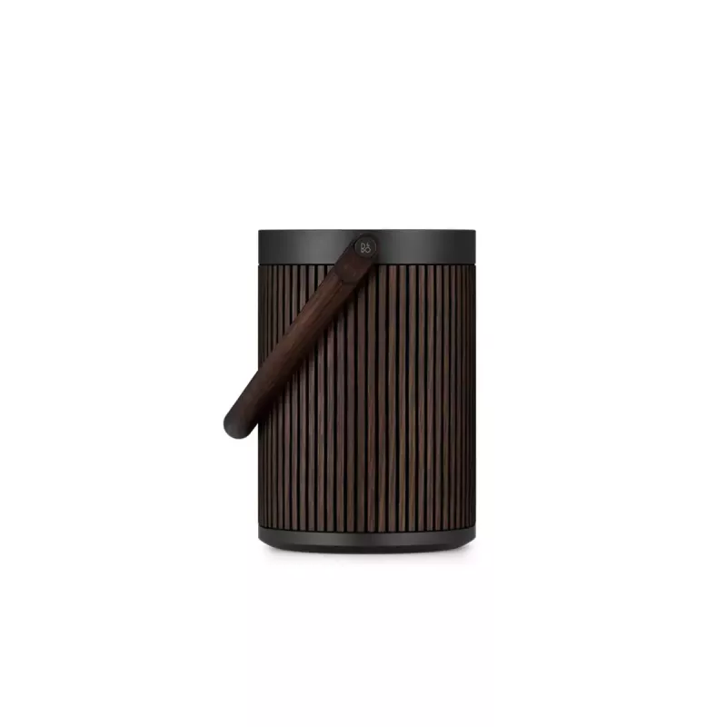 2.1 draagbaar luidsprekersysteem Bang & Olufsen BeoSound A5 bruin 101 dB