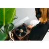 Riem aangedreven audioplatenspeler Lenco LS-430BN bruin handmatig 3-4 g naaldkracht