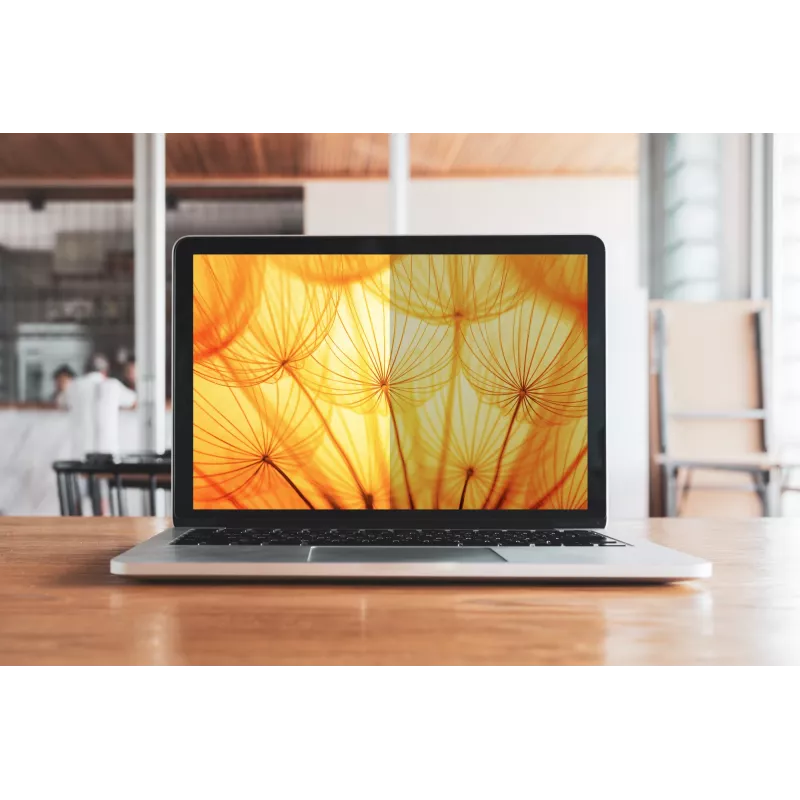 3M Bright Screen Privacy Filter voor 15,6 inch full-screen laptop, 16:10, BP156W1E