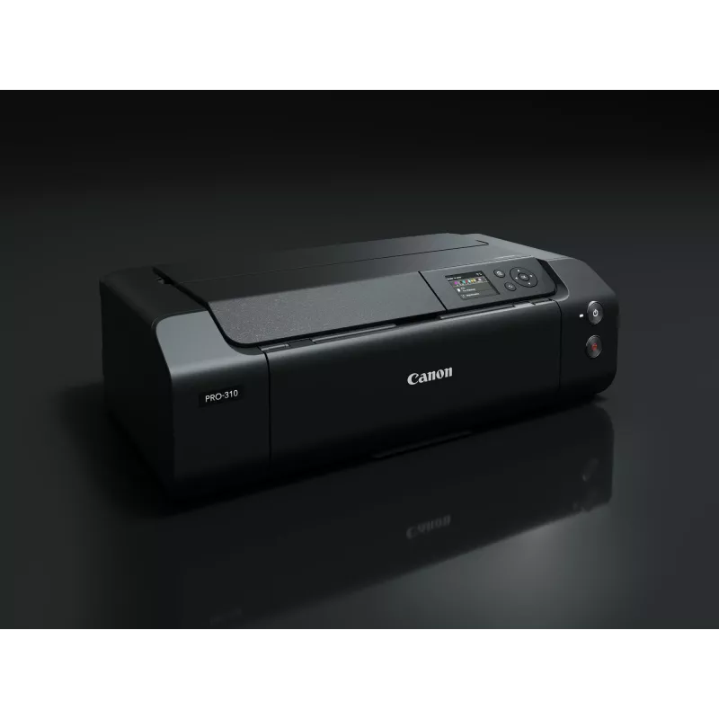 Canon imagePROGRAF PRO-310 inkjetprinter kleur 4800 x 2400 dpi A3+ wlan