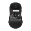 ZOWIE U2 gaming-muis ambidexter RF draadloos optisch 3200 dpi