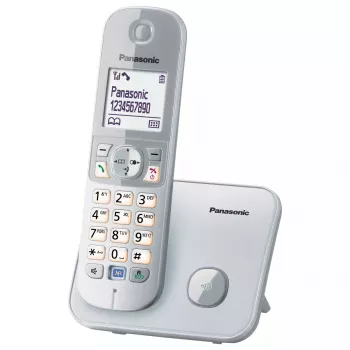 DECT-telefoon Panasonic KX-TG6811GS
