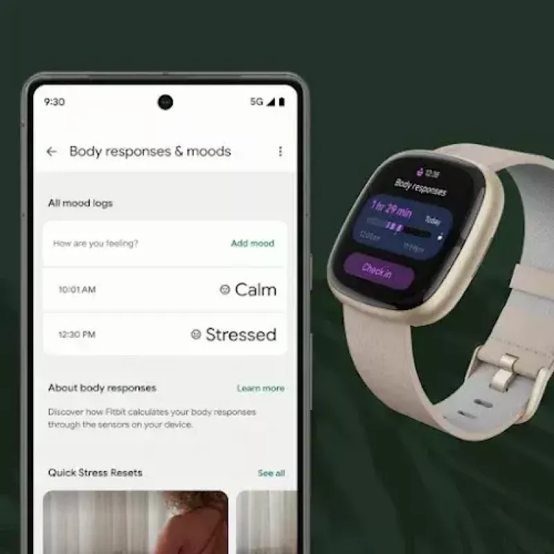 Smartwatch Fitbit Sense 2 digitaal touchscreen zwart