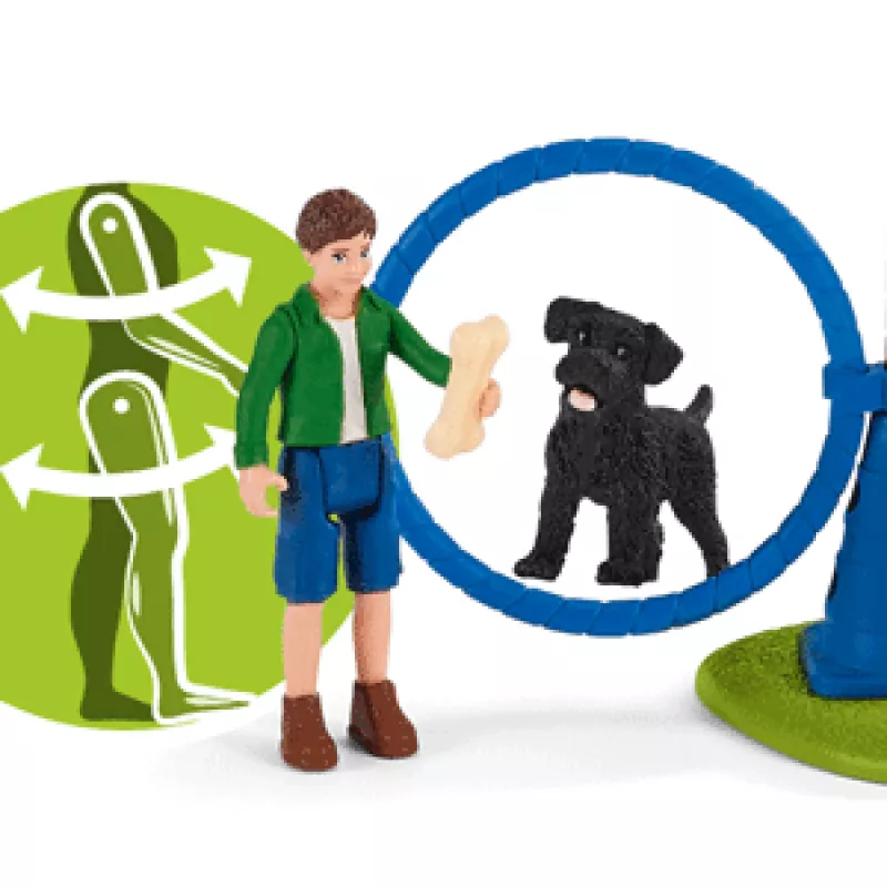 schleich Farm Life puppy agility-training, Farm World, 3 jaar, veelkleurig