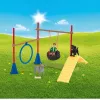 schleich Farm Life puppy agility-training, Farm World, 3 jaar, veelkleurig