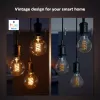 Philips slimme lamp 1e-pack G93 E27 filament