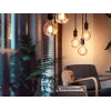 Philips slimme lamp 1e-pack G93 E27 filament
