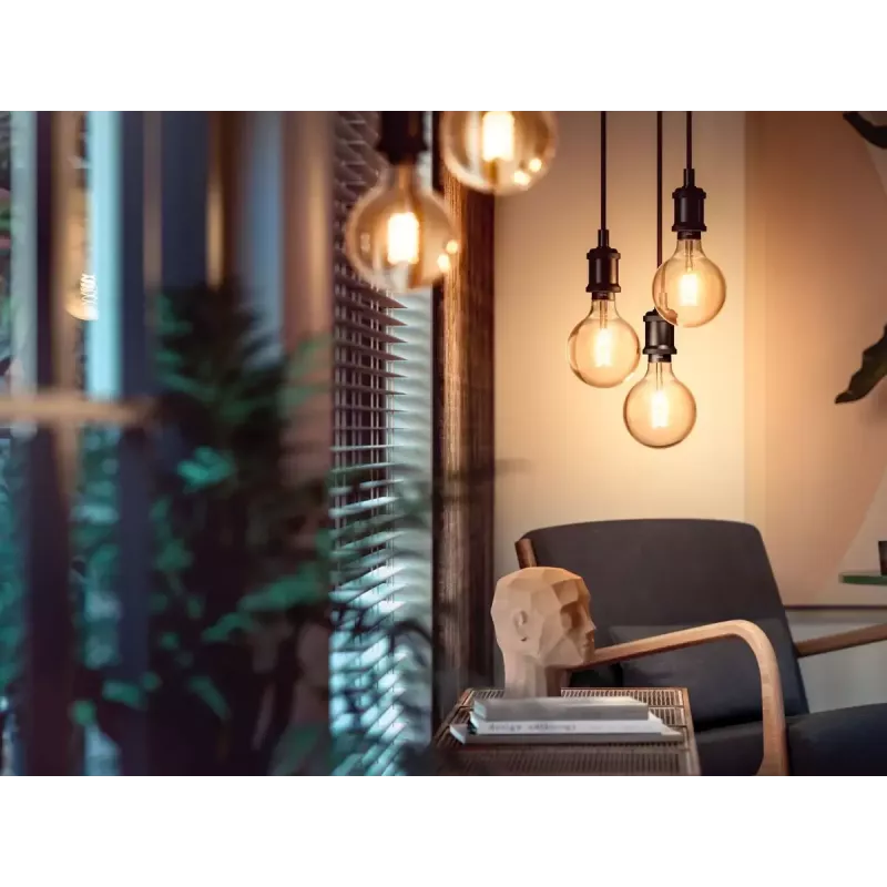 Philips slimme lamp 1e-pack G93 E27 filament