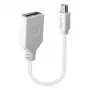 Lindy 0,20 m Mini DisplayPort naar DisplayPort adapterkabel, 0,15 m, Mini DisplayPort, DisplayPort, stekker, bus, Wit