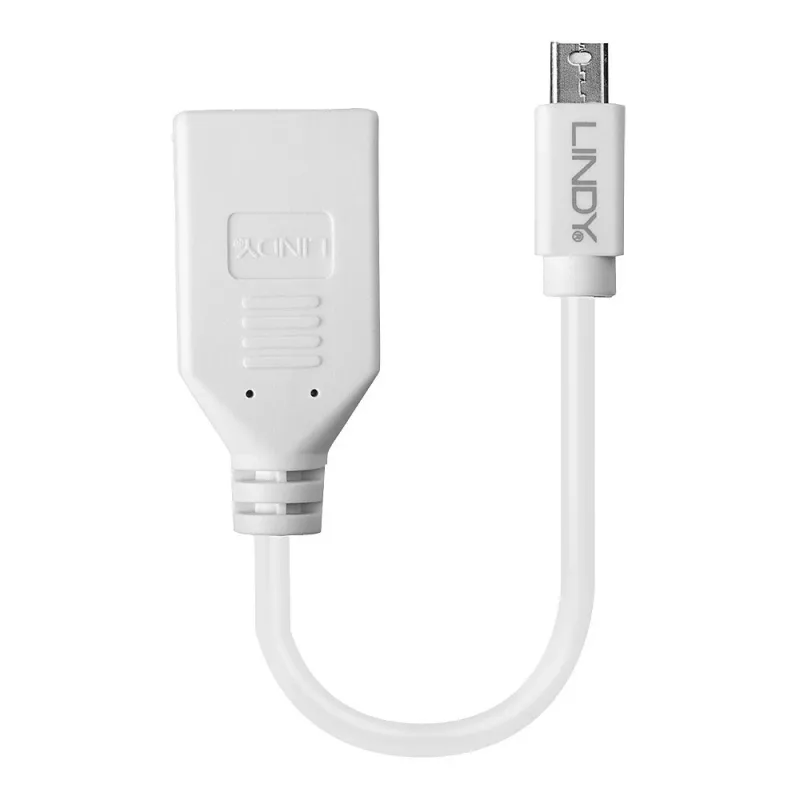 Lindy 0,20 m Mini DisplayPort naar DisplayPort adapterkabel, 0,15 m, Mini DisplayPort, DisplayPort, stekker, bus, Wit