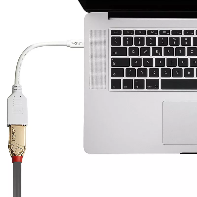 Lindy 0,20 m Mini DisplayPort naar DisplayPort adapterkabel, 0,15 m, Mini DisplayPort, DisplayPort, stekker, bus, Wit