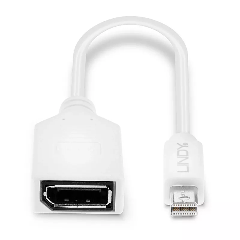 Lindy 0,20 m Mini DisplayPort naar DisplayPort adapterkabel, 0,15 m, Mini DisplayPort, DisplayPort, stekker, bus, Wit