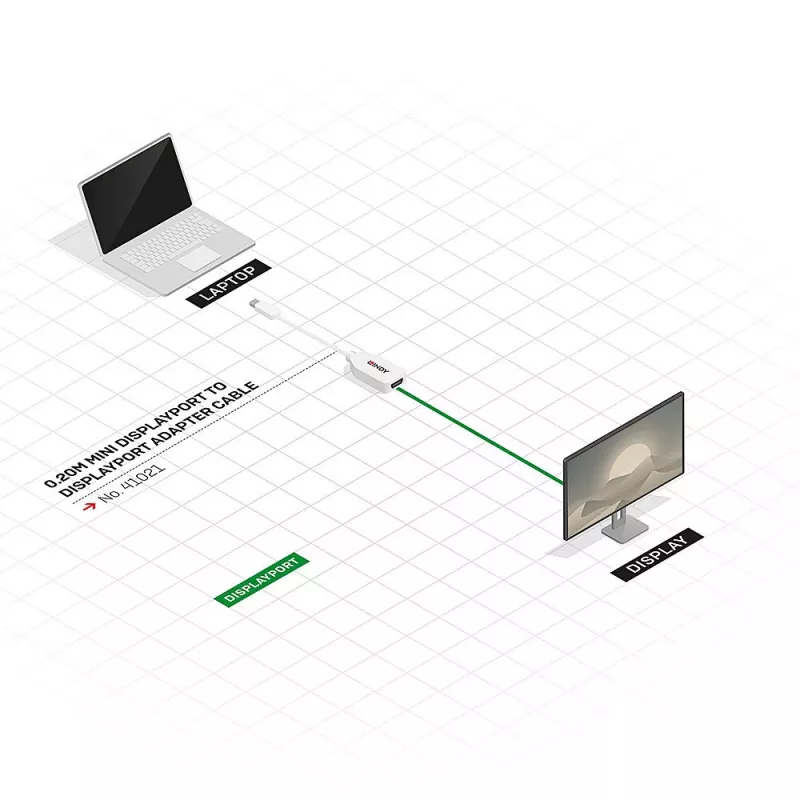 Lindy 0,20 m Mini DisplayPort naar DisplayPort adapterkabel, 0,15 m, Mini DisplayPort, DisplayPort, stekker, bus, Wit