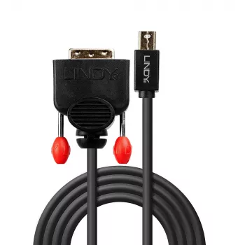 Lindy 3m Mini DisplayPort naar DVI kabel, zwart