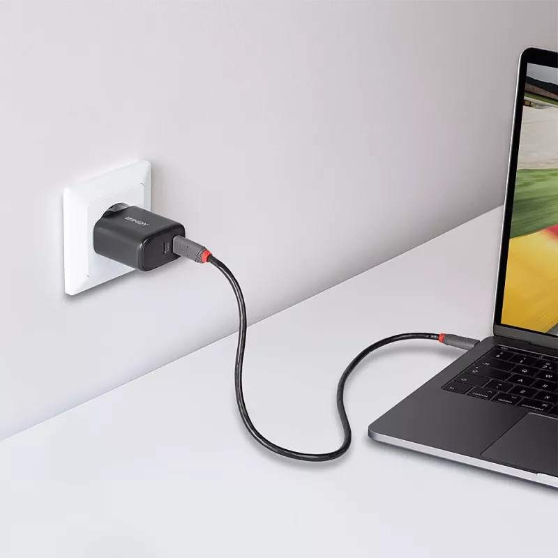 Lindy 65W USB 2 x Type-C GaN-oplader 73438