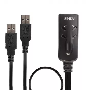 Lindy 2 poorts USB KM switch