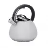 Resto 90603 fluitketel voor op het fornuis, 2,7 l