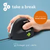 R-Go Tools ergonomische muis R-Go HE Break met Break-software, medium (handgrootte 165-185 mm), rechtshandig, bedraad, zwart