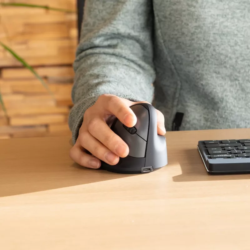 R-Go Tools ergonomische muis R-Go HE Break met pauzesoftware, groot (handmaat ≥ 185 mm), voor rechtshandigen, Bluetooth, zwart