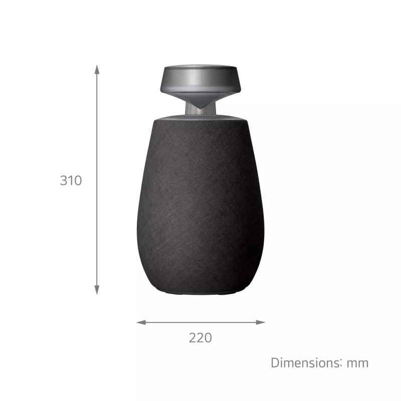 LG XBOOM 360 mono draagbare luidspreker zwart 20 W