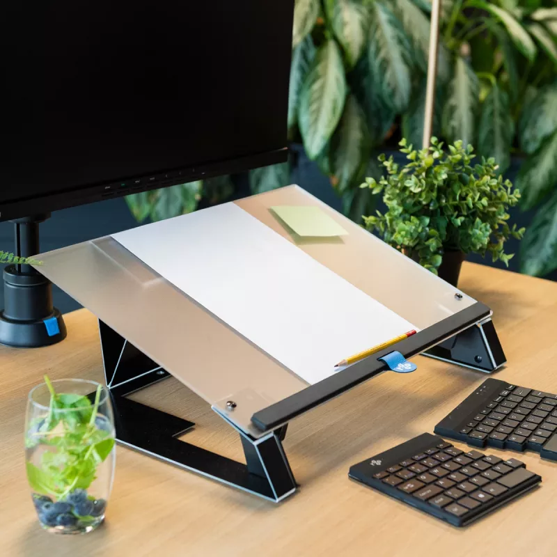 R-Go Tools documenthouder R-Go Read2Write, geschikt om te lezen en te schrijven, ergonomisch, met zachte schuim handpalmsteun, mat acryl