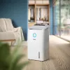 Philips 5000-serie DE5305/11 luchtontvochtiger 4 l 54 dB wit