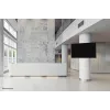 Neomounts tv-standaardmontage WL30S-910BL16 50 kg 40-75 inch