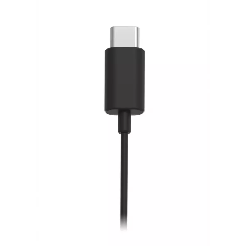 Philips TAE5008BK/00 hoofdtelefoon/headset bedraad in-ear gesprekken/muziek USB Type-C zwart