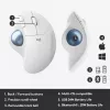 Muis Logitech ERGO M575 draadloze trackball RF draadloos + Bluetooth