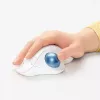 Muis Logitech ERGO M575 draadloze trackball RF draadloos + Bluetooth