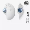 Muis Logitech ERGO M575 draadloze trackball RF draadloos + Bluetooth