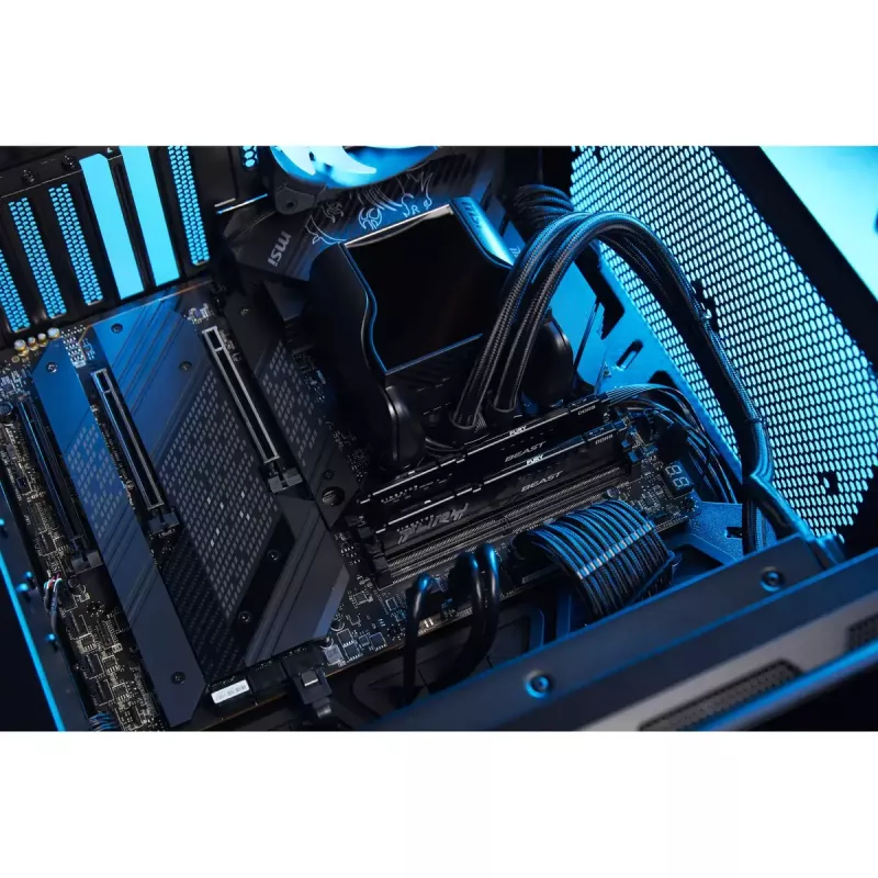 Kingston Technology FURY Beast 8 GB 5600 MT/s DDR5 CL36 DIMM zwart