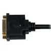 StarTech.com 8in HDMI-naar-DVI-D-videokabel-adapter – HDMI-stekker naar DVI-bus