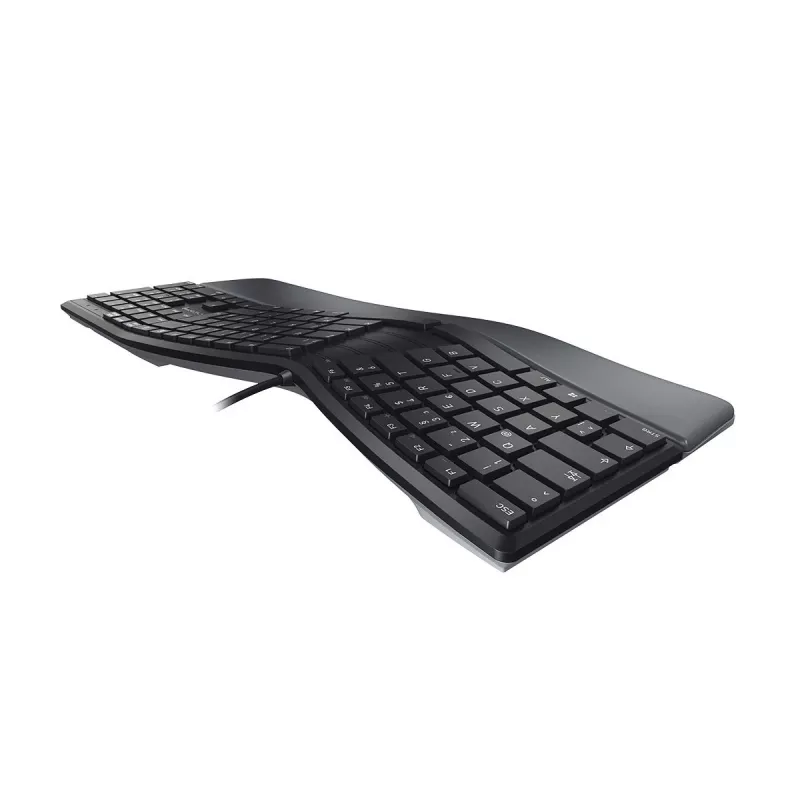 CHERRY KC 4500 ERGO Toetsenbord Universeel USB QWERTY US Engels Zwart