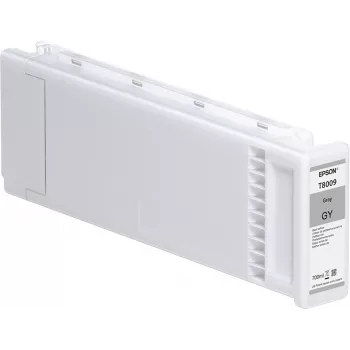 Epson singlepack grijs T800900 UltraChrome PRO 700 ml