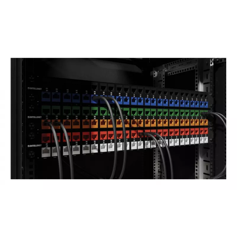Intellinet 791298 Keystone-module