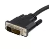 StarTech.com DP2DVIMM10 3 m (10 ft) DisplayPort naar DVI-D adapterkabel, male/male, passief, 1920x1200 / 1080p, zwart