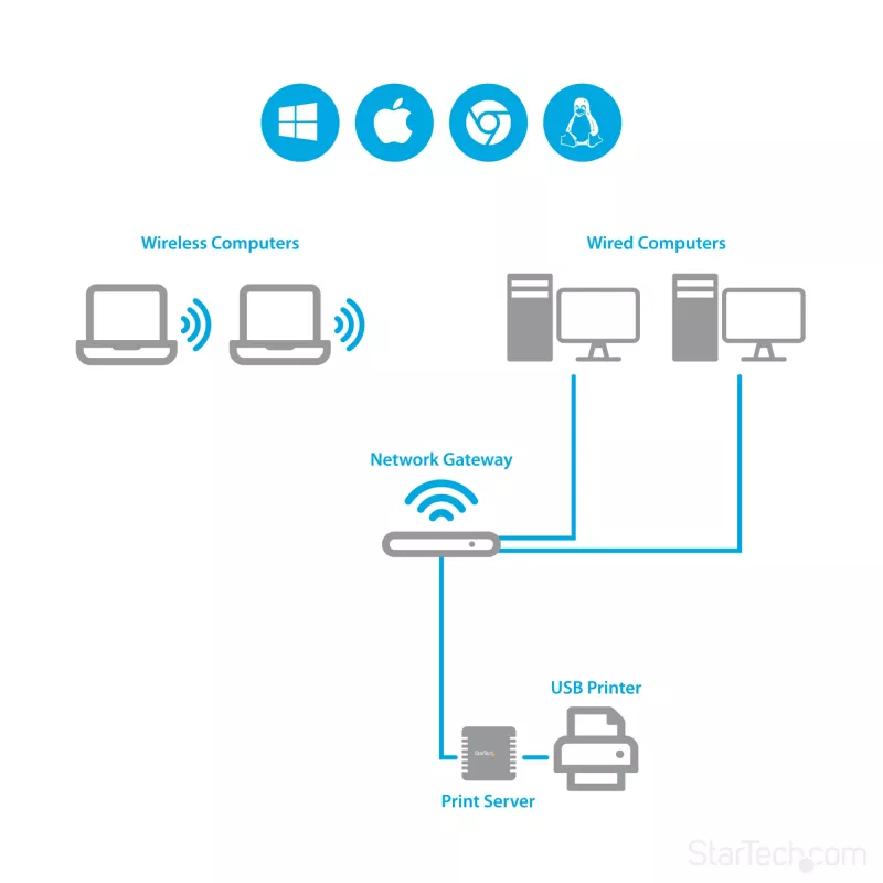 StarTech.com 10/100Mbps Ethernet-naar-USB 2.0 netwerk-LPR-printserver