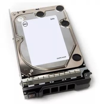 DELL 400-AEFB interne harde schijf 1 TB 7200 RPM 3,5 inch Serial ATA III