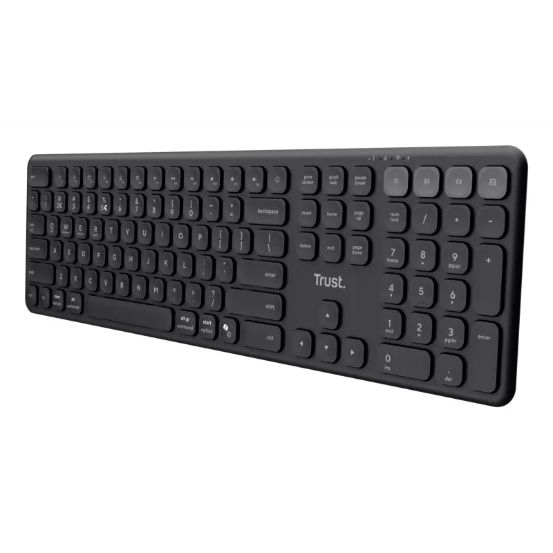 Trust Vaiya toetsenbord thuis/kantoor RF draadloos + Bluetooth QWERTZ Duits zwart