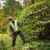 Telescoop heggenschaar DeWALT DCMPH566N-XJ