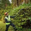 Telescoop heggenschaar DeWALT DCMPH566N-XJ