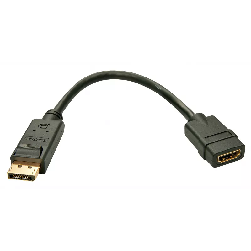Lindy DisplayPort 1.2 naar HDMI 1.3-converter