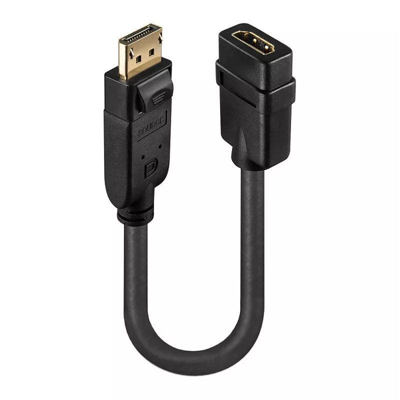 Lindy DisplayPort 1.2 naar HDMI 1.3-converter