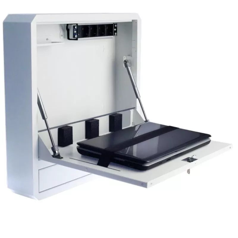 Techly ICRLIM01W2 laptop-beveiligingslade